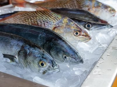 seafood