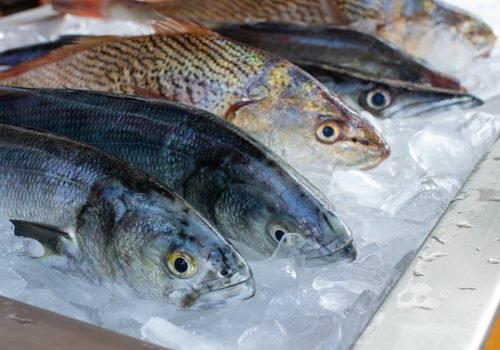 seafood